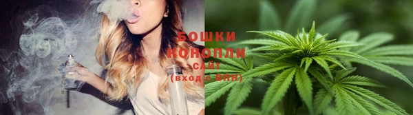 гидра Лиски