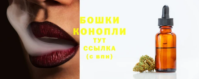 гидра Лиски