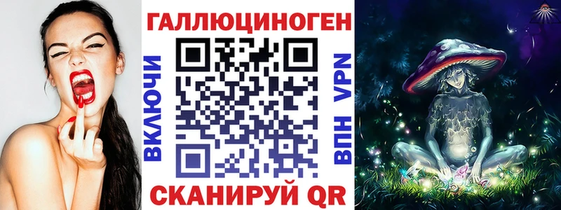 Псилоцибиновые грибы Psilocybe  Купить закладки  Костерёво 